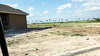 Retama Lot Build