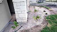 Retama Lot Build