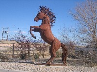 Alburquerque NM