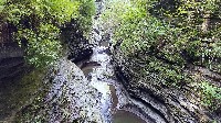 Watkins Glen SP