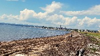 Bonaventure QC