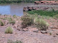 Shafer Trail