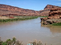 Shafer Trail