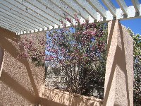 Living Desert / Zoo