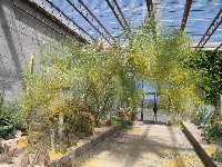 Living Desert / Zoo