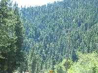 To Cascade ID