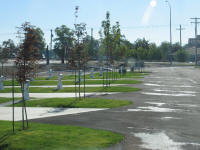 Clarkston WA