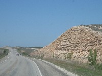 Fort Stockton TX