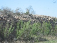 Fort Stockton TX