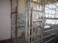 Montana Prison