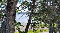 Gaspe QC