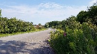 Grand Island NY