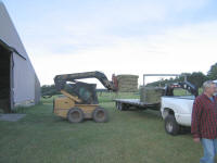 Getting Hay