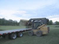 Getting Hay