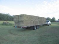 Getting Hay