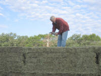 Getting Hay