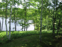 Aunt Maaude's House View