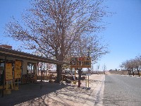 Holbrook AZ