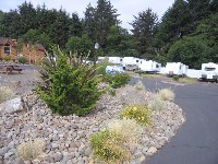 Lincoln City OR