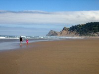 Oregon Shore