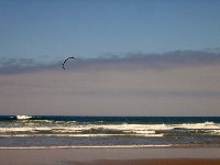 Oregon Shore