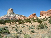 Mancos CO
