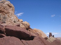 Living Desert / Zoo