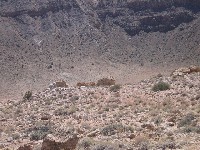 Living Desert / Zoo
