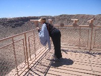 Living Desert / Zoo