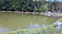 Bath NY