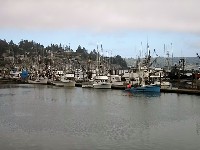 Newport OR