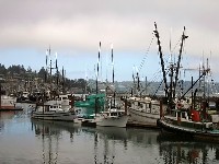 Newport OR