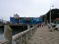 Newport OR