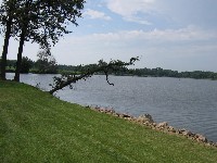 Oelwein IA