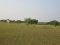 Riviera TX