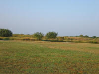 Riviera TX