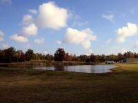 Texarkana TX