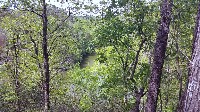 Tuscaloosa AL