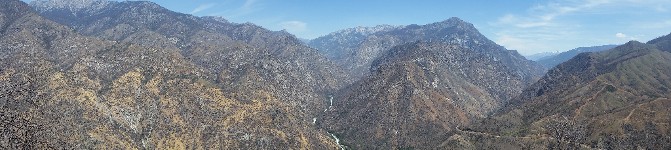 Kings Canyon NP Sequoias