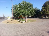 Visalia, CA