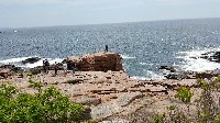 Acadia NP Bar Harbor