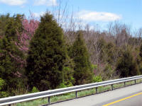 Woodbine MD